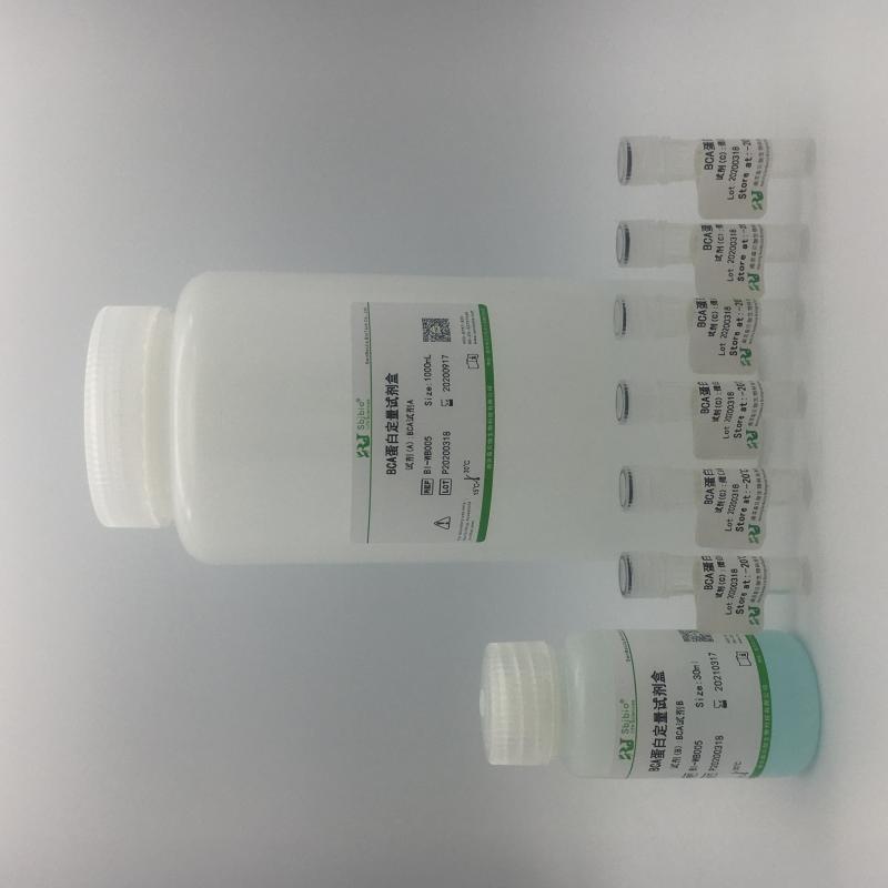 BCA蛋白定量试剂盒（增强型）