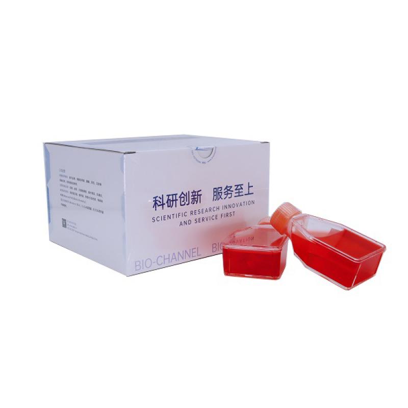 人纤维肉瘤细胞 （HT-108...