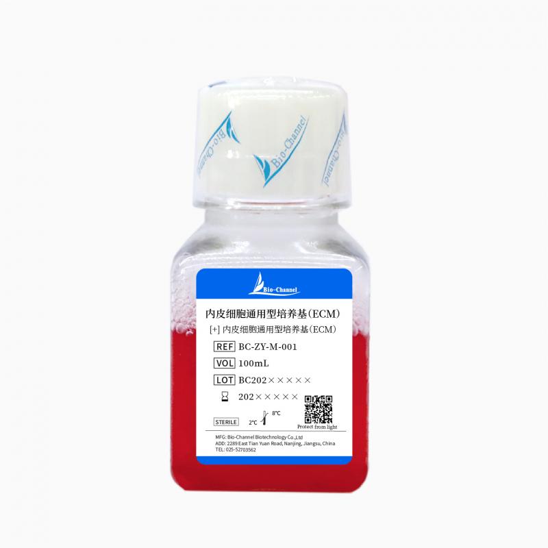 内皮细胞通用型培养基（ECM）