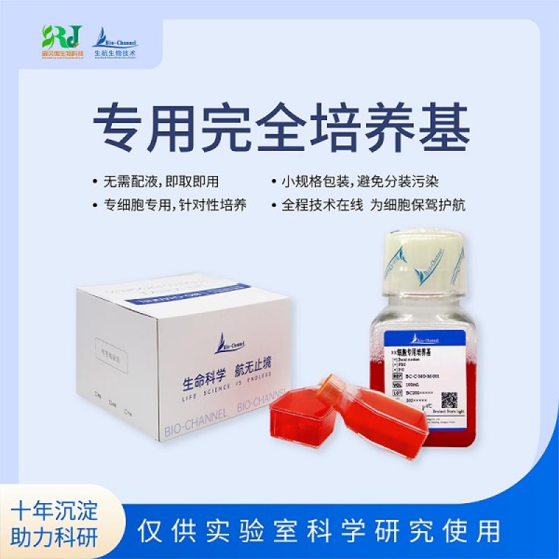 小鼠肺成纤维细胞专用培养基